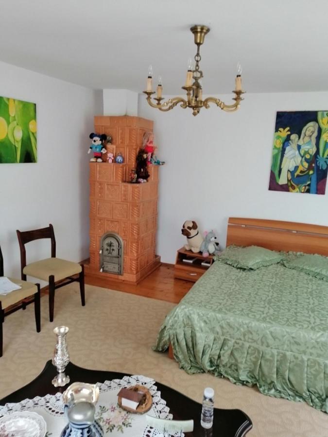 Casa Ilea -Agapia Villa Екстериор снимка
