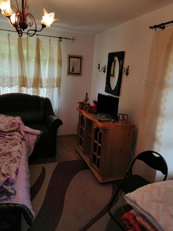 Casa Ilea -Agapia Villa Екстериор снимка
