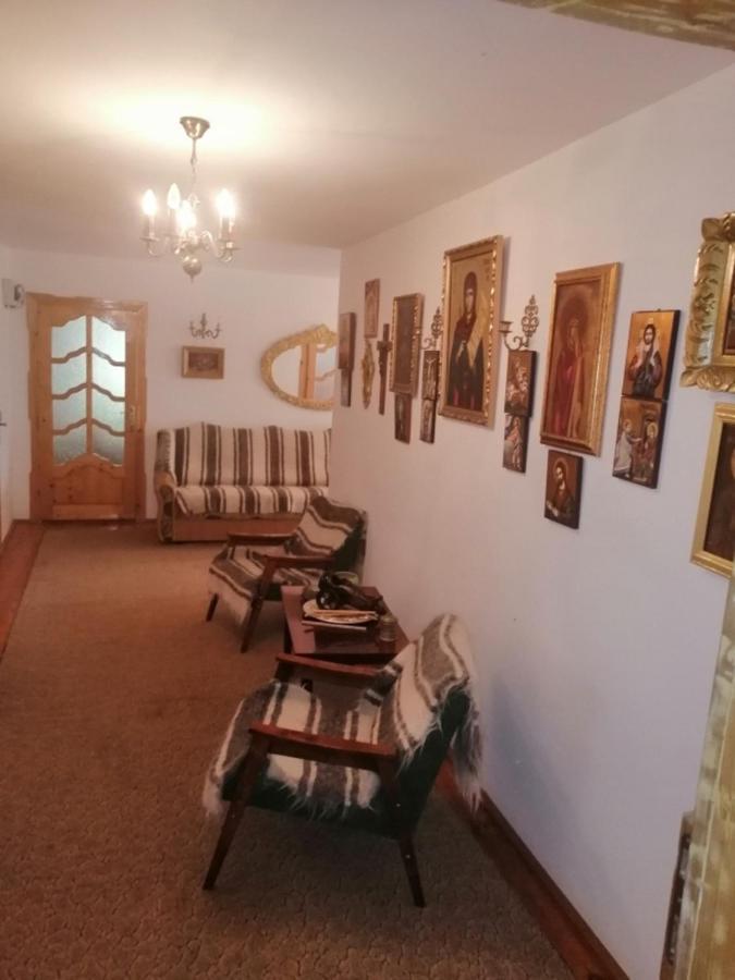 Casa Ilea -Agapia Villa Екстериор снимка