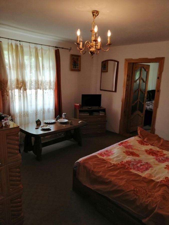 Casa Ilea -Agapia Villa Екстериор снимка