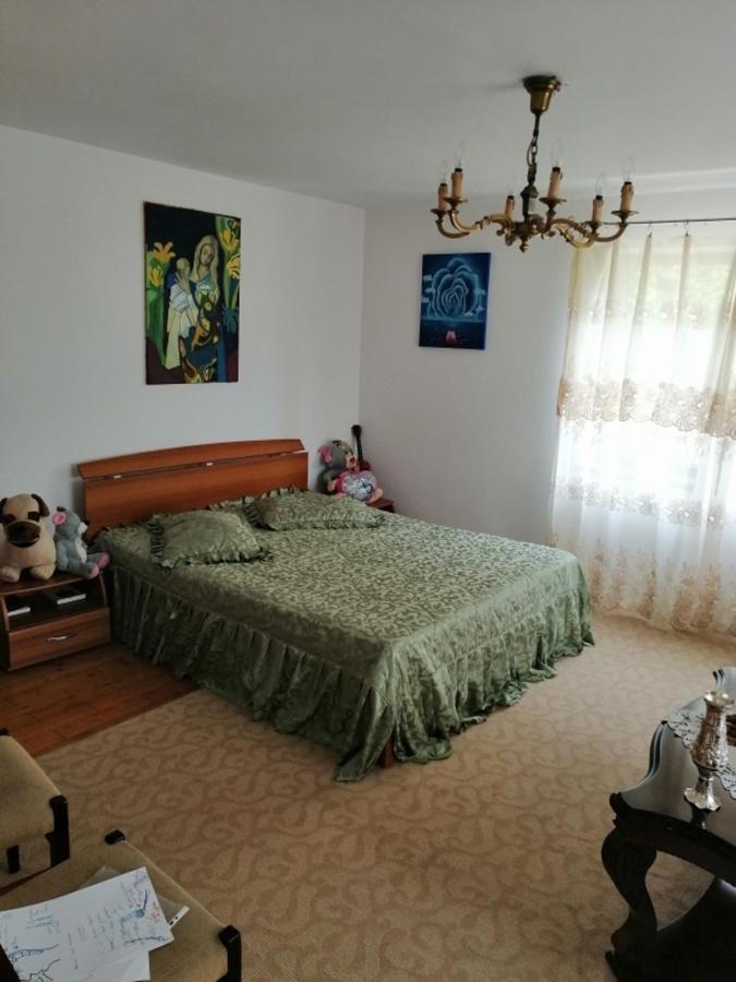 Casa Ilea -Agapia Villa Екстериор снимка