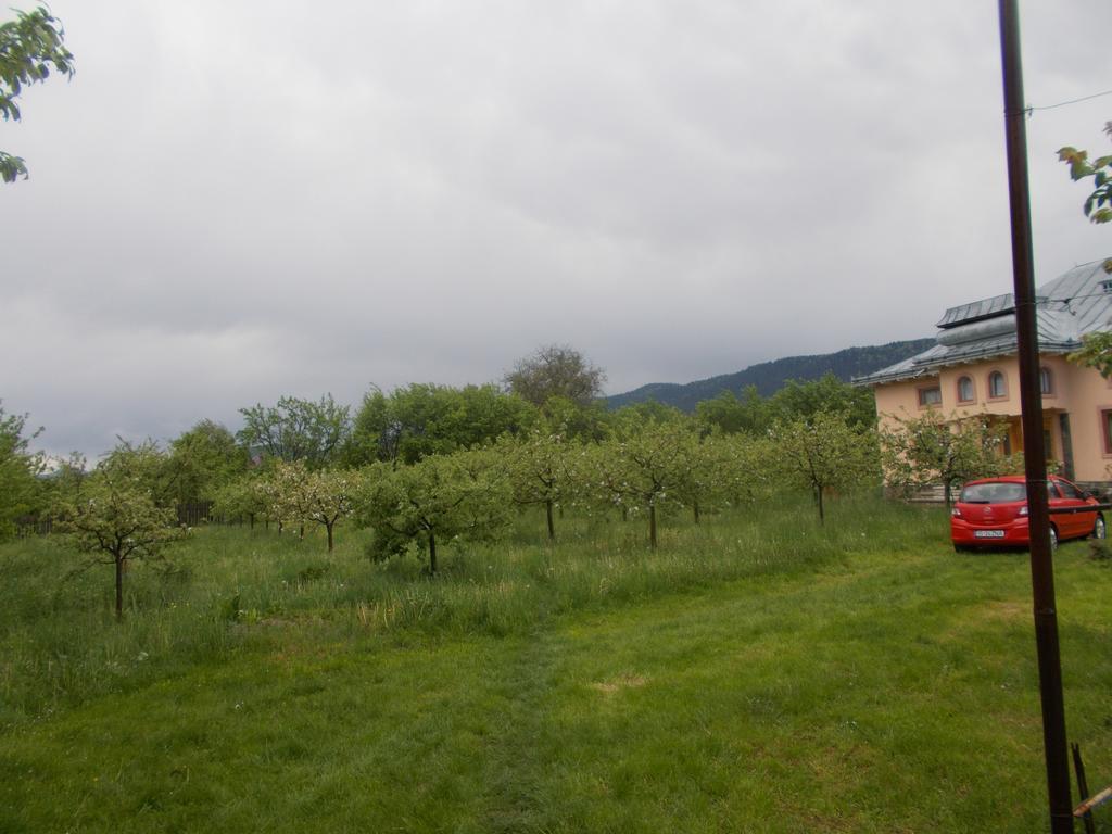Casa Ilea -Agapia Villa Екстериор снимка