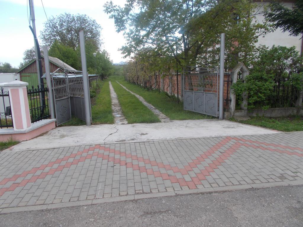 Casa Ilea -Agapia Villa Екстериор снимка